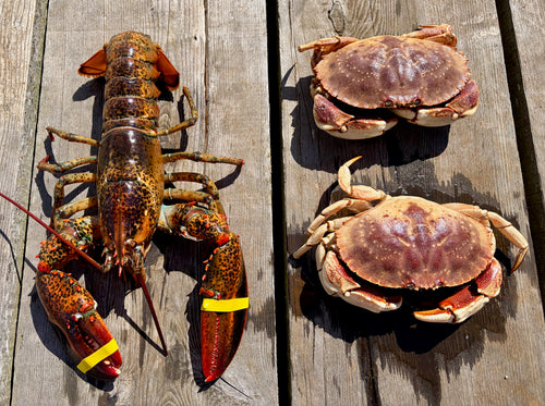 Lobster and crabs on a wooden surface