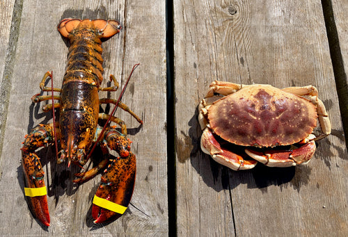 Lobster and crab on a wooden surface