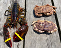 Shedder Meal | Adult