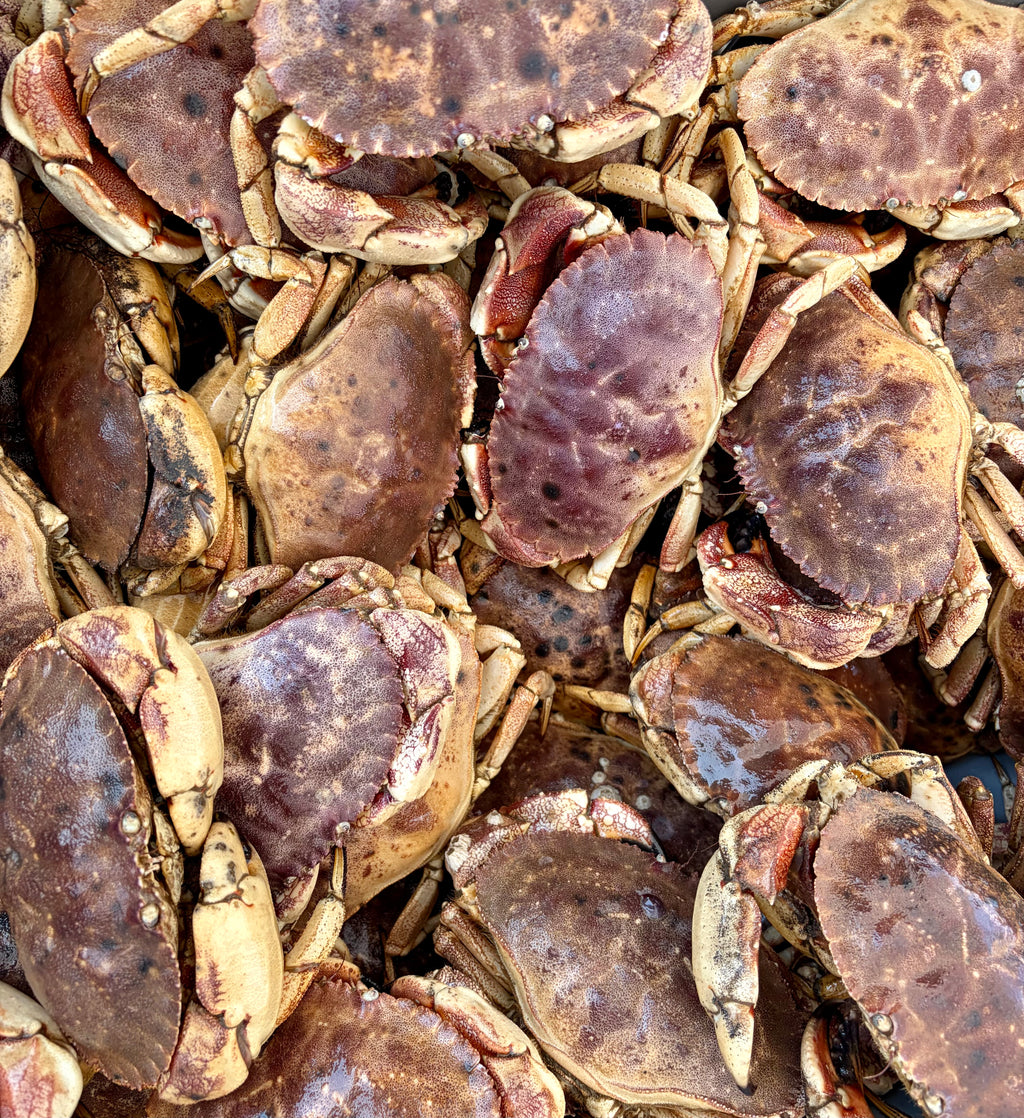 Jonah Crabs